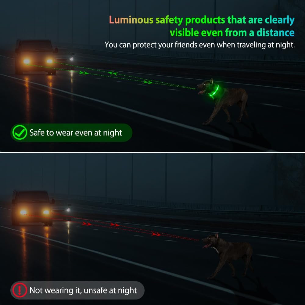 Light up Dog Collar