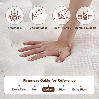 Vantto Queen Ultimate Cloud Hybrid 