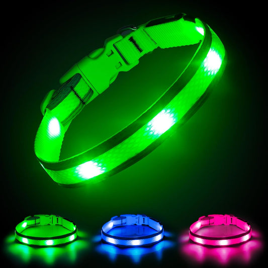 Light up Dog Collar 