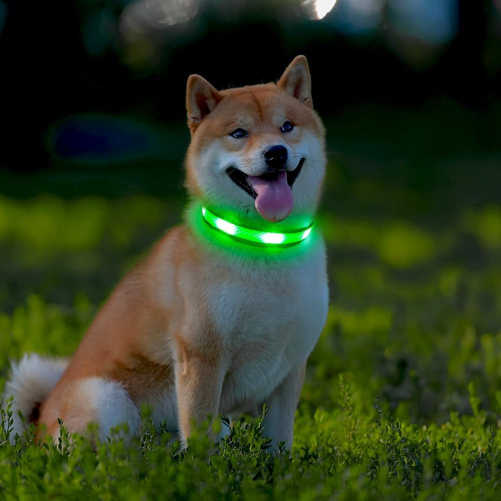 Light up Dog Collar 